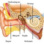 Bệnh viêm tai ngoài và nguyên nhân cách điều trị